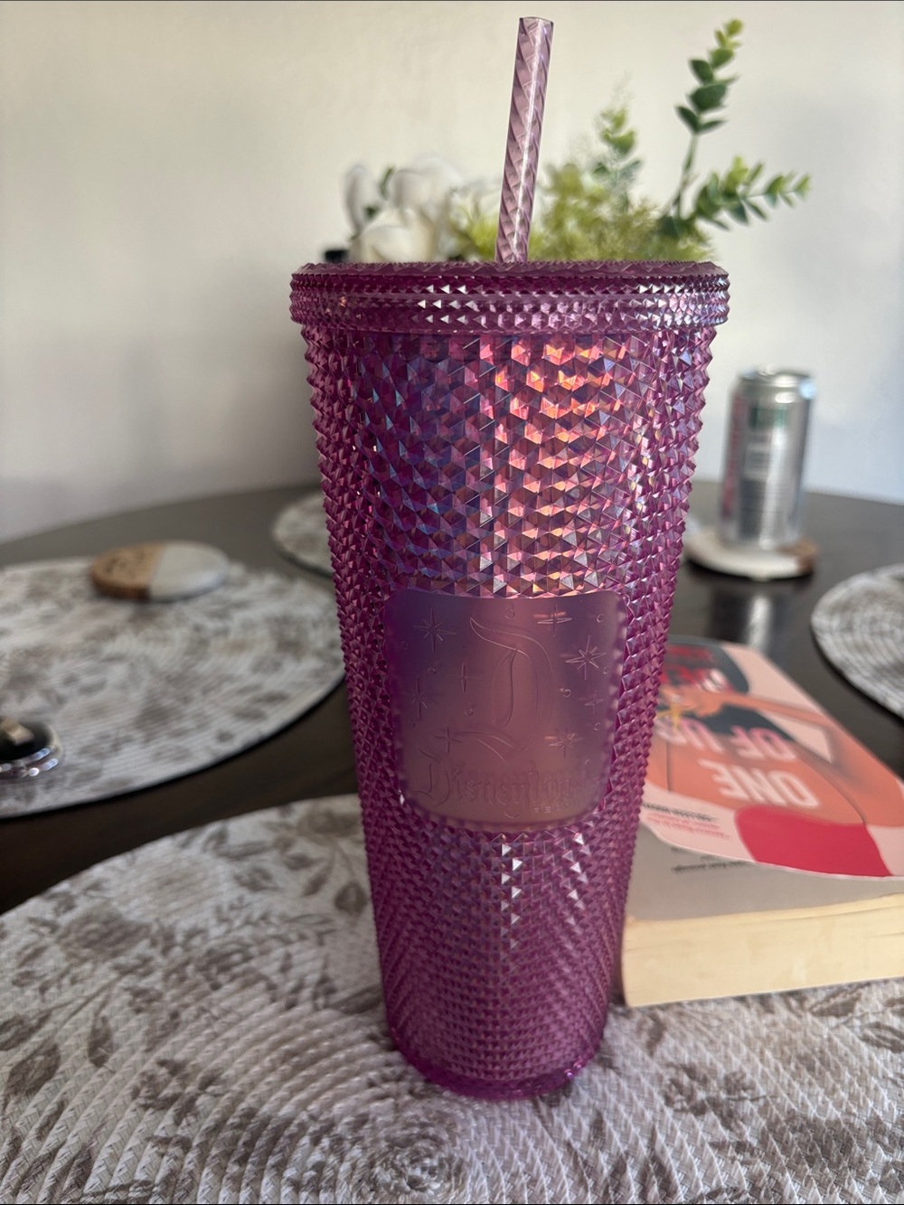 Starbucks Disneyland Tumbler